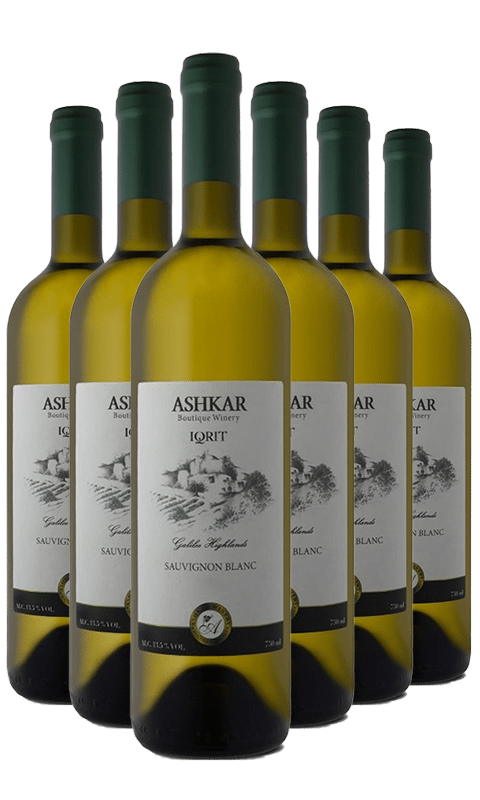 שישיית אשקר סוביניון בלאן